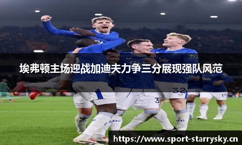 埃弗顿主场迎战加迪夫力争三分展现强队风范