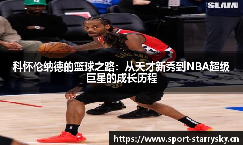 星空体育官网